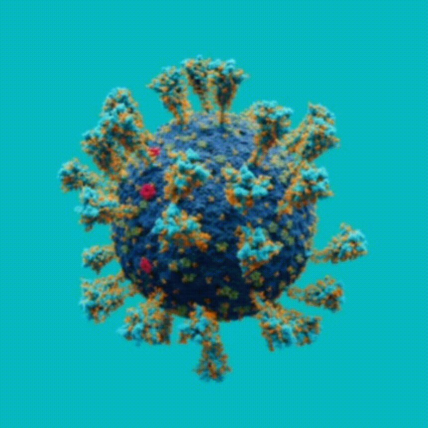 Eliminación de virus