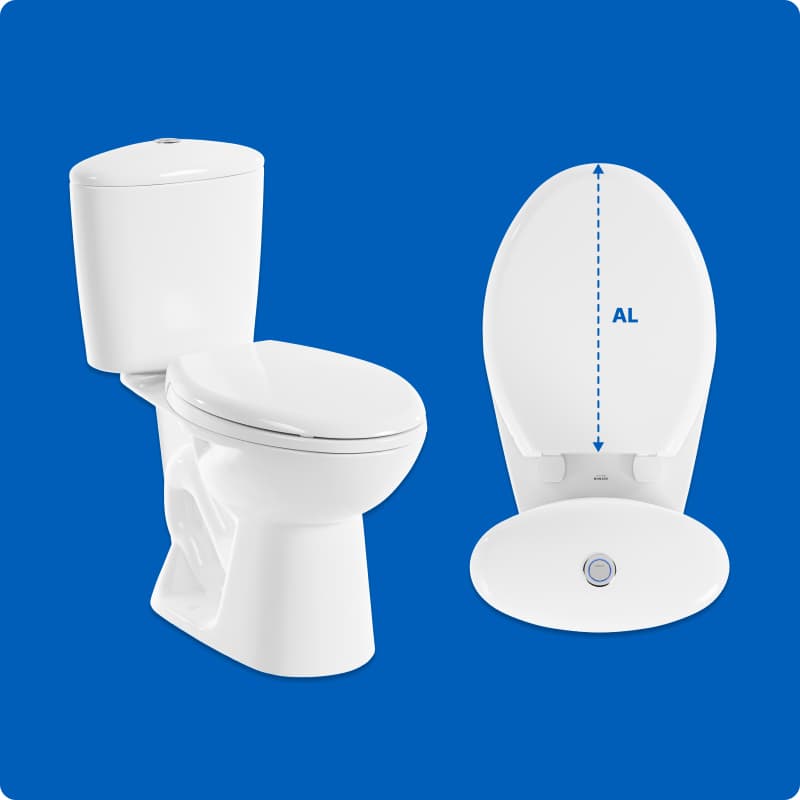 Sanitario tipo alongado